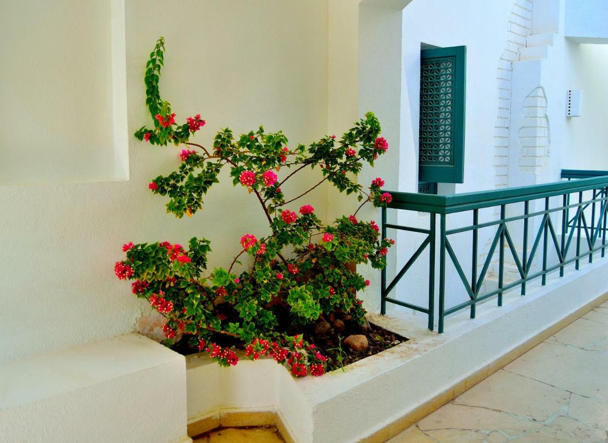 Jaz Neo Naama Bay Hotell Sharm el-Sheikh Exteriör bild